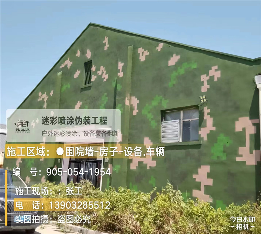 汕头外墙数码迷彩漆施工报价清单(100㎡标准墙面测算)